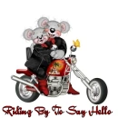RIDING BY TO SAY HELLO