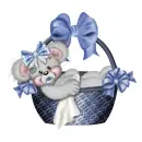 CREDDY BEAR BABY