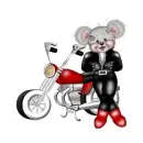 CREDDY BEAR GIRL