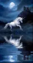 Night of the Unicorn