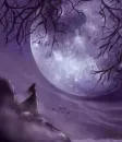 Purple Moon Ani