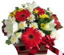 flores