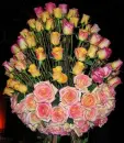 roses