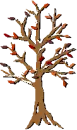 fall