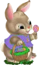 Bunny 