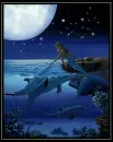 Mermaid and Dolphins ani