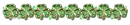 Shamrock 1