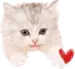 KITTY LOVE