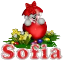 Sofia