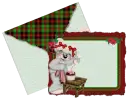Creddy envelope-Creddy