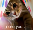 I See You..