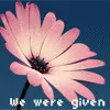 love quote