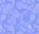 Contest2 