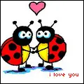 Lovebugs