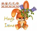 hello Irene