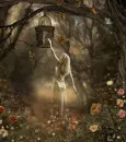 Faerie in Forest with Flutterbys