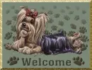 Welcome