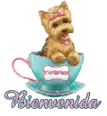 Bienvenida