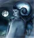 Chambered Nautilus