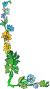 Flower Frames