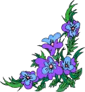 Flower Frames