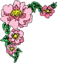 Flower Frames