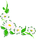 Flower Frames