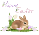 HAPPY EASTER/RABBIT