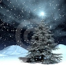 snow