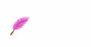 pen animation