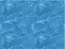Contest2
