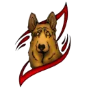 Dogs