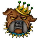 Dogs