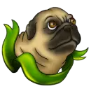 Dogs