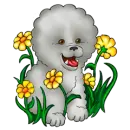 Dogs