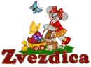 Zvezdica