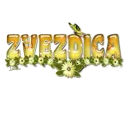 Zvezdica