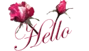 hello
