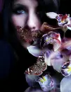 glitter butterflys