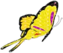 glitter butterfly