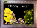 Happy