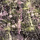 grunge 