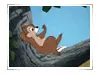 Chip 'N Dale