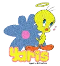 Angel Tweety With Daisy -Yaris-