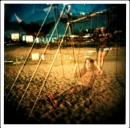 holga, swinggs
