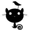 funny cat bird