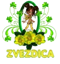 Zvezdica
