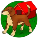 Dogs
