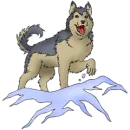 Dogs