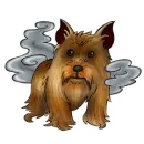 Dogs